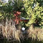 度假居 Haus Mit Kunst Zwischen Wald Und