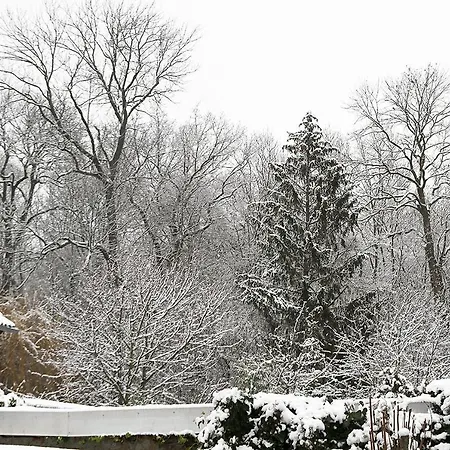 Haus Mit Kunst Zwischen Wald Und 펜션 라이프치히