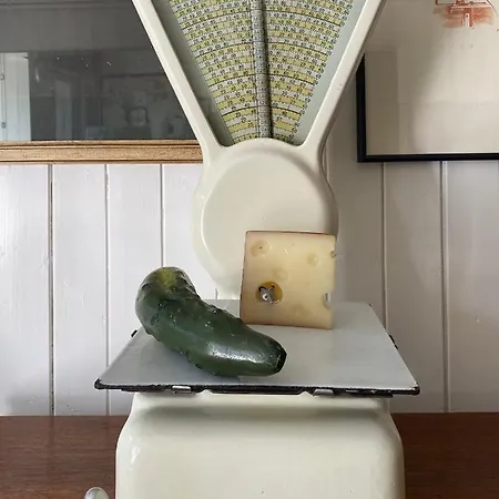 Haus Mit Kunst Zwischen Wald Und * Leipzig